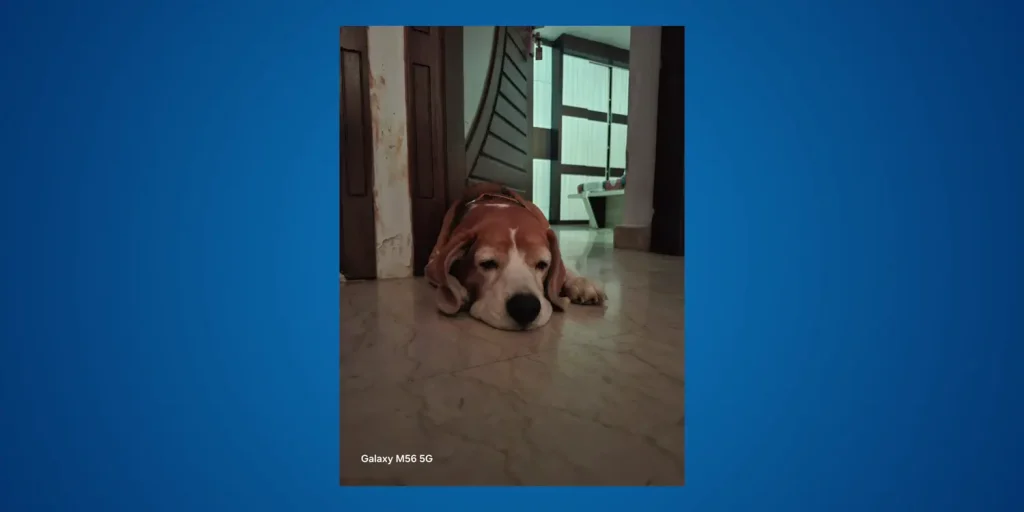 Samsung Galaxy M56 5G Review: Is It Worth Your Money? 16 Samsung Galaxy M56 Camera Image 3