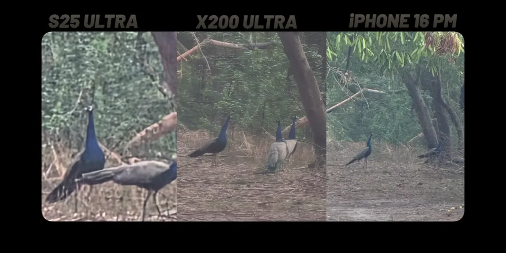 Vivo X200 Ultra: The Flagship You Didn’t Know You Needed 12 Vivo X200 Image Capture vs Other Smartphones 1