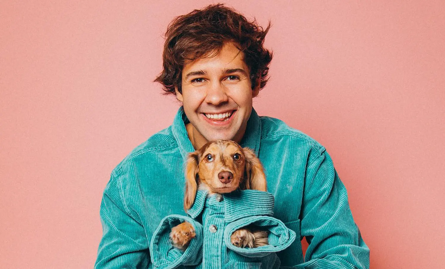 David Dobrik Net Worth