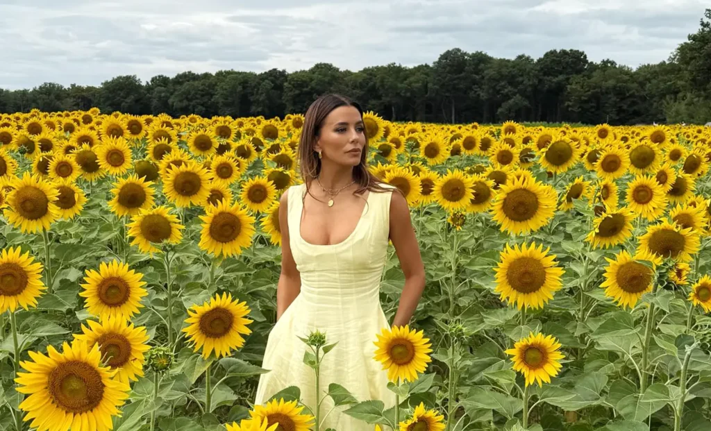 Eva Longoria Challenges and Considerations